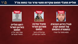 terrorists eliminated by IDF