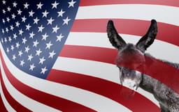 The Democratic party