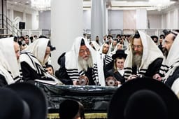 rabbi alter in the U.S