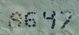 8647 written using shells