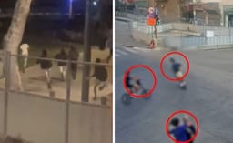 SSQ members involved in teen stabbing in Tel Aviv