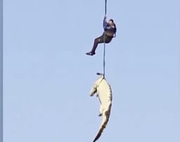 Rescue op