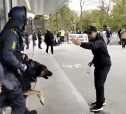 Danish Police Use K9 Dogs to Clear Anti-Israel Protest in Copenhagen