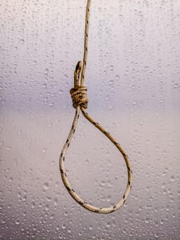 Noose