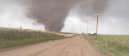 Tornado