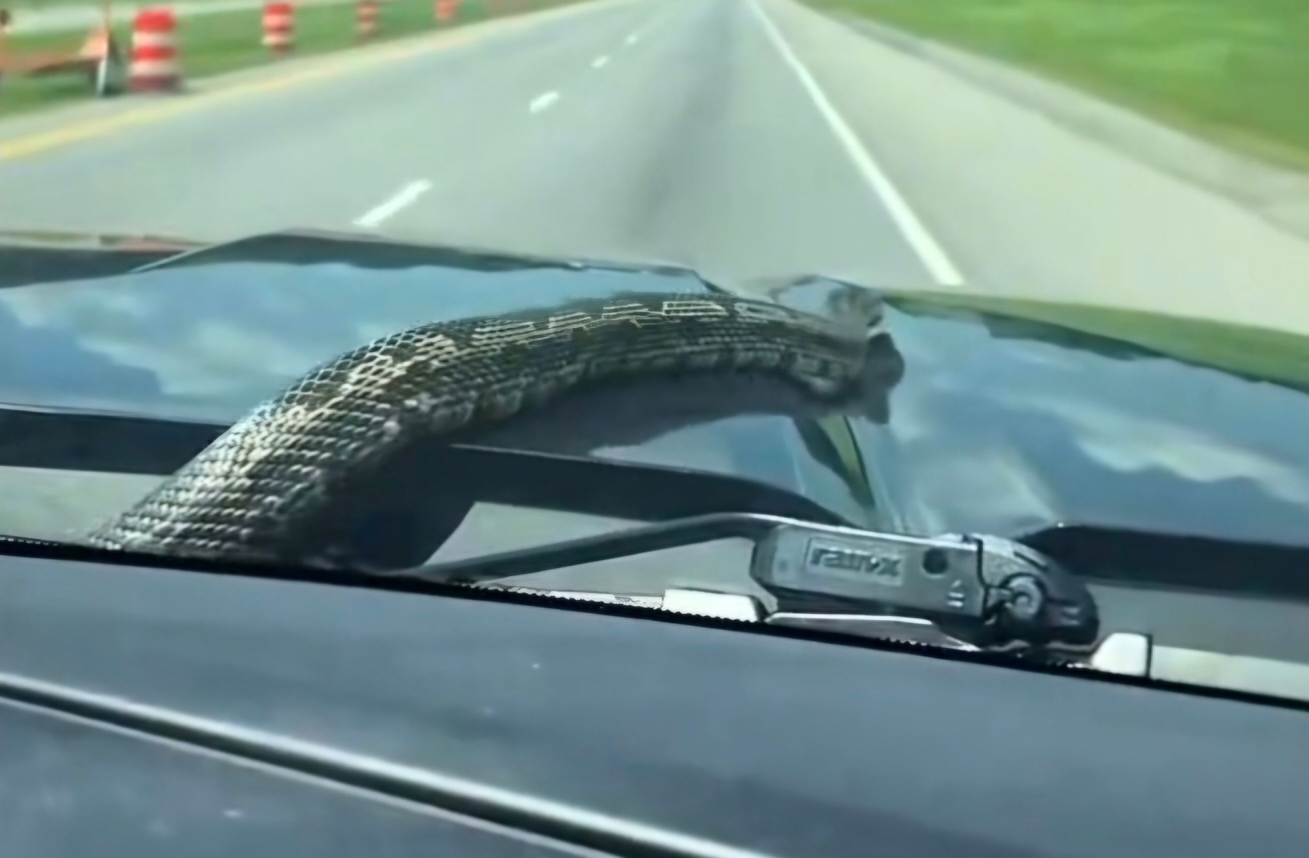 Snake Emerges from Car Hood During Highway Drive in Tennessee