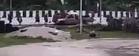8 Monks Dead After Child Driver Plows Into Procession