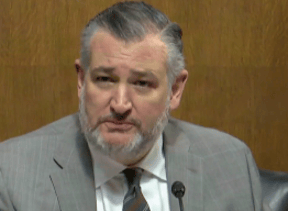 TED CRUZ AT THE SENATE