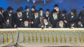 כינוס חסידי ויז'ניץ 
