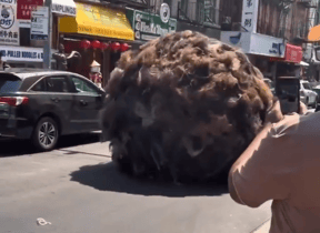 Giant Hairball Rolls Through Manhattan Street