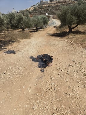Burned tire in Qusra