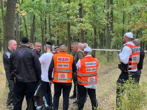 From the scene