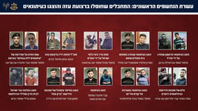 Gaza 'journalists'