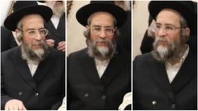 Rav Yitzchak Zev Soloveitchik