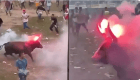 Bull with fireworks strapped to horns at Colombian festival