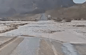 Flooding in southern Israel | Archive