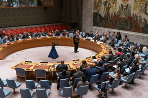The International Court of Justice