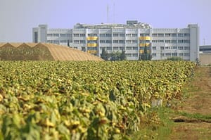 Galilee Medical Center.