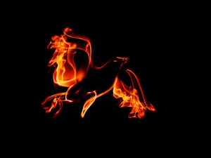 Mythological phoenix bird in flame 