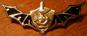 Shayetet 13's insignia
