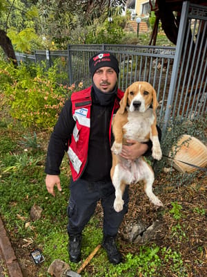 A rescuer and a dog.