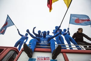 Activists rally for AfD