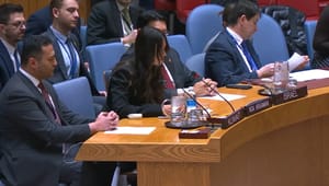Noa Argamani speaks at the UN