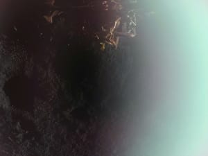 Firefly lands Blue Ghost on the moon