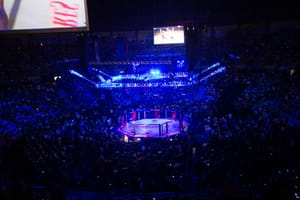 Illustrative: UFC
