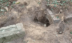 The desecration of the graves