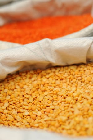 Wheat Discovered in Pesach Certified Lentils