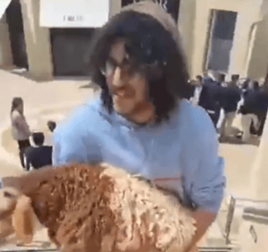 Activist Jew bringing a kid onto the Temple Mount