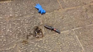Knife used in stabbing attack.