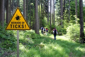 Warning sign "beware of ticks" in infested area in the green forest