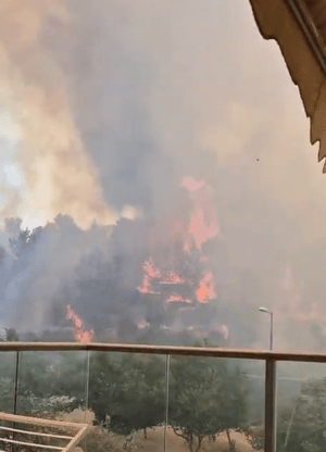 Wilfires near Jerusalem