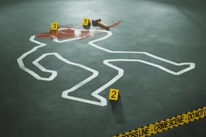 Murder Scene