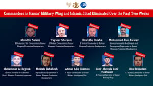 Infographic of eliminated terrorists.