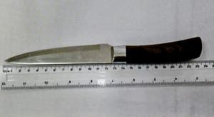  The knife