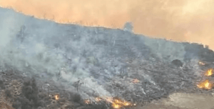 Cyprus Wildfires