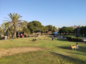 Kibbutz Sufa