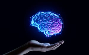 The human brain