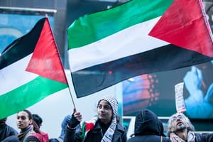 Pro-Palestine protest 