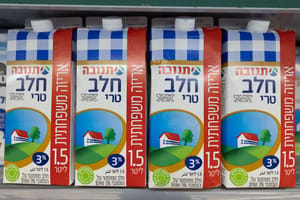 Israeli milk