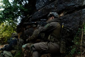 IDF