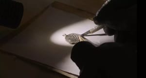 Conservation treatment to remove the weathering layer that had accumulated on the pendant.