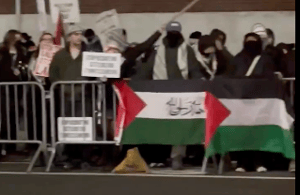 Anti-Israel protests in New York. Illustration.