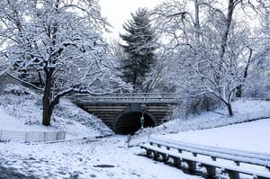 Snow in New York