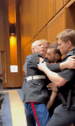 Senate brawl