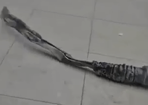 Shrpanel falls in Boyan Shul in Jerusalem
