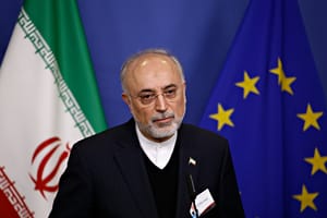 Ali Akbar Salehi, Head of the Atomic Energy Organisation of Iran